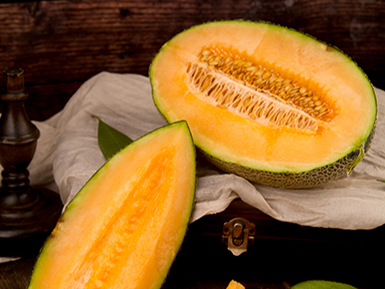 开云彩票网基地展示三