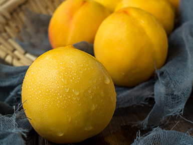 开云彩票网基地展示五